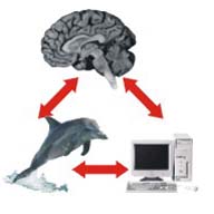 ... characters spring 1999 intr...